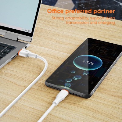 Câble de données CB4031v