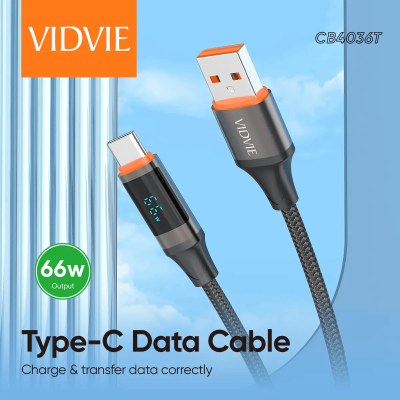 Câble de données  CB4036T